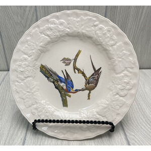 Birds of America Plate Alfred Meakin National‎ Audubon Society Passenger Pigeon